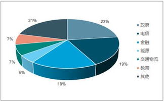 2019-2025年中國互聯網信息安全市場分析預測及投資戰略研究報告 網絡與信息安全軟件開發